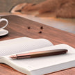 Sheaffer 100 Coffee Edition Fountain Pen (Matt Brown)